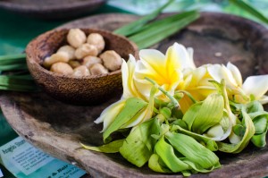 Exploring Natural Beauty and Ancient Medicine in Ubud
