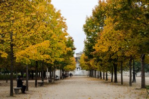 I Love Paris in the Fall